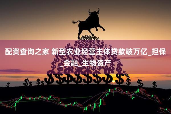 配资查询之家 新型农业经营主体贷款破万亿_担保_金融_生物资产