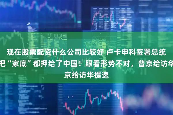 现在股票配资什么公司比较好 卢卡申科签署总统令,把“家底”都押给了中国!眼看形势不对,普京给访华提速